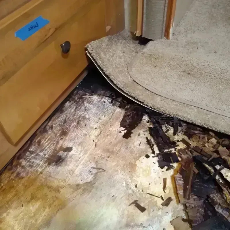 Wood Floor Water Damage in Montello, WI